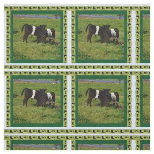 Belted Galloway Calves In The Country, Fabric