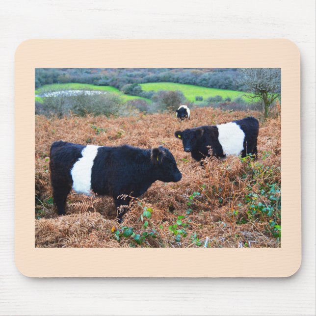 Belted Galloway cattle Mouse Pad (Front)