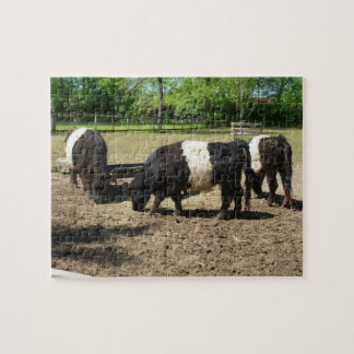 Belted Galloway Cattle Puzzle