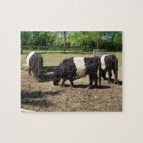 Belted Galloway Cattle Puzzle