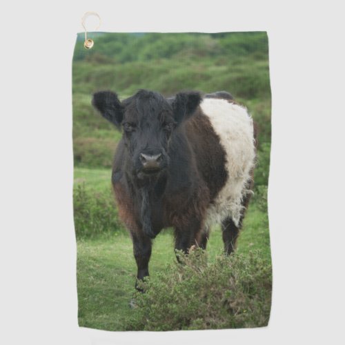 Belted Galloway Cow Golf Towel