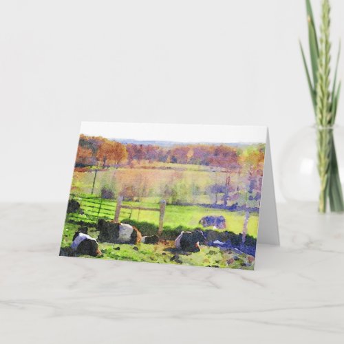 Belted Galloway Cow Herd resting in Autumn Blank Holiday Card