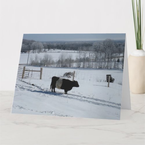 Belted Galloway Cow in a Snowy Landscape Card