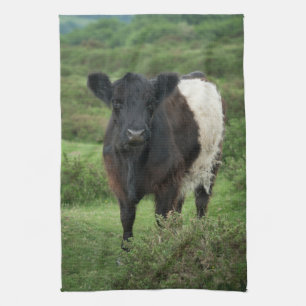 Belted Galloway Cow Kitchen Towel