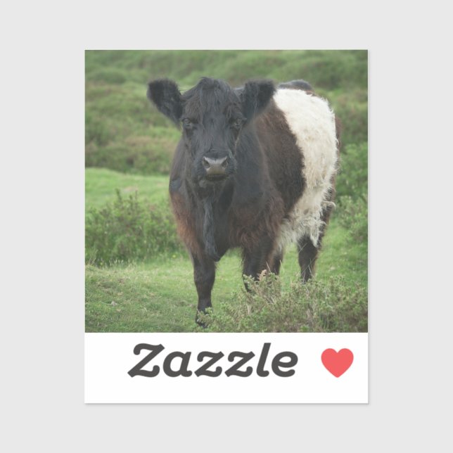 Belted Galloway Cow Sticker (Sheet)