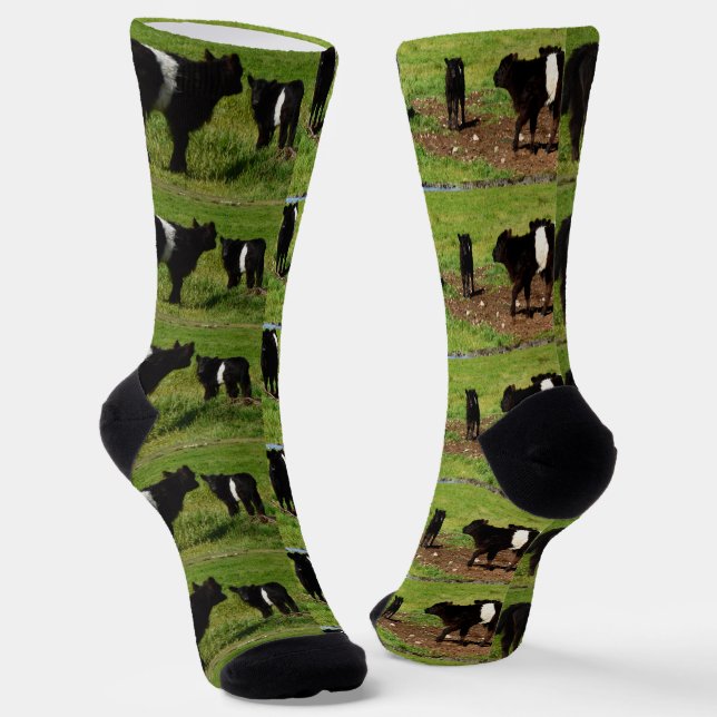 Belted Galloway Cows, Crew Socks (Angled)