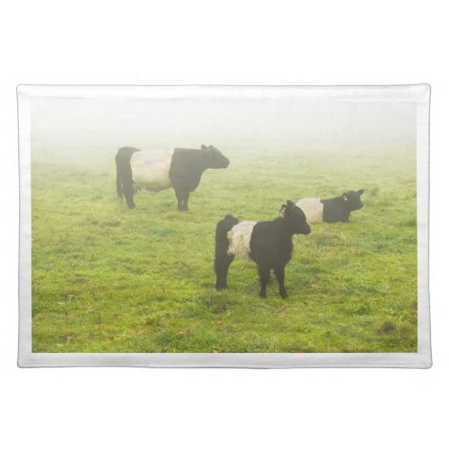 Belted Galloway Cows Grazing In foggy Farm Field Cloth Placemat