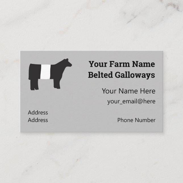 Belted Galloway Farm Business Cards (Front)