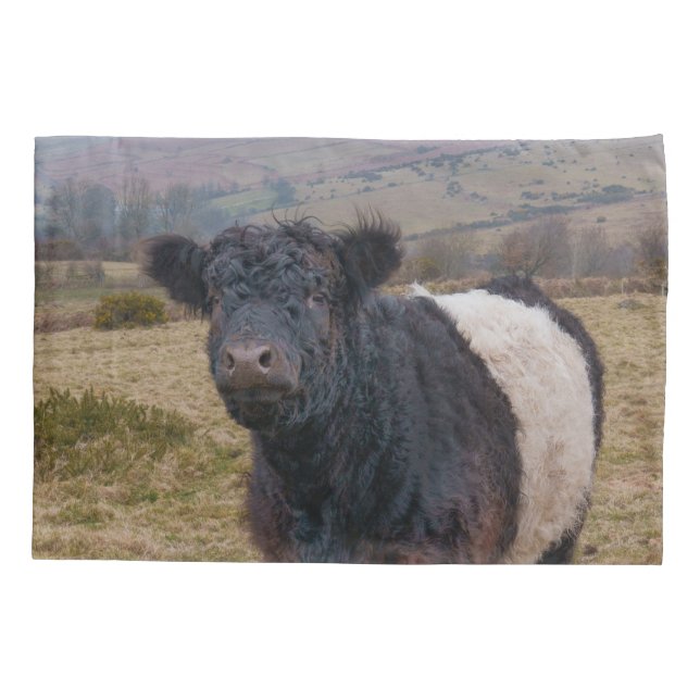 Belted Galloway Standing Proud on Dartmoor Farmlan Pillow Case (Back)