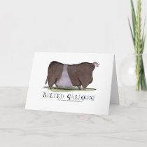 belted galloway, tony fernandes card
