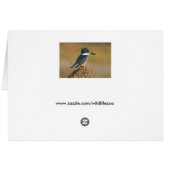 Belted Kingfisher Cards (Back Horizontal)