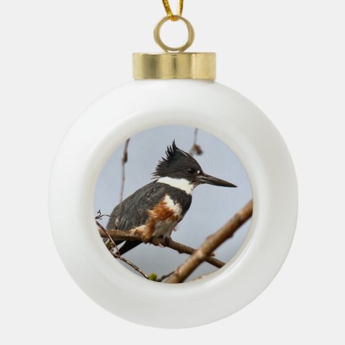 Belted Kingfisher Ceramic Ball Christmas Ornament