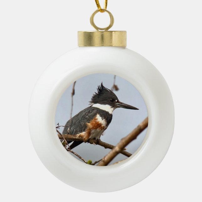 Belted Kingfisher Ceramic Ball Christmas Ornament (Front)