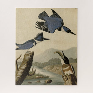 Belted Kingfisher from Audubon's Birds of America Jigsaw Puzzle