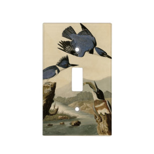 Belted Kingfisher from Audubon's Birds of America Light Switch Cover