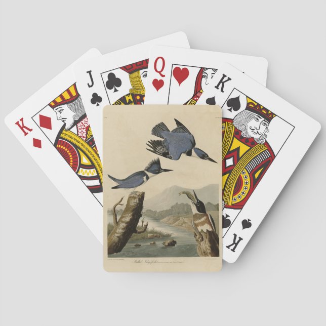Belted Kingfisher from Audubon's Birds of America Poker Cards (Back)