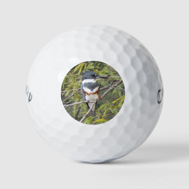 Belted Kingfisher Golf Balls (Front)