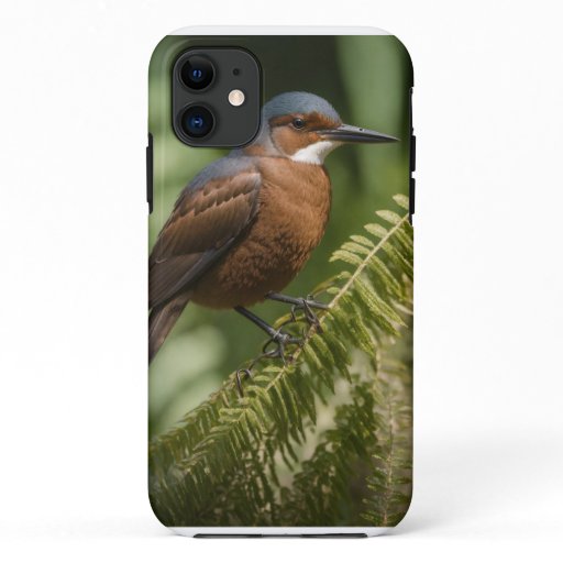 Belted Kingfisher iPhone Case: Luxurious Elegance  iPhone 11 Case
