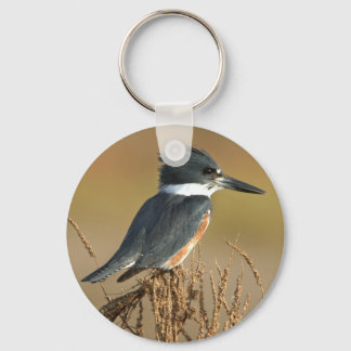 Belted Kingfisher Keychain