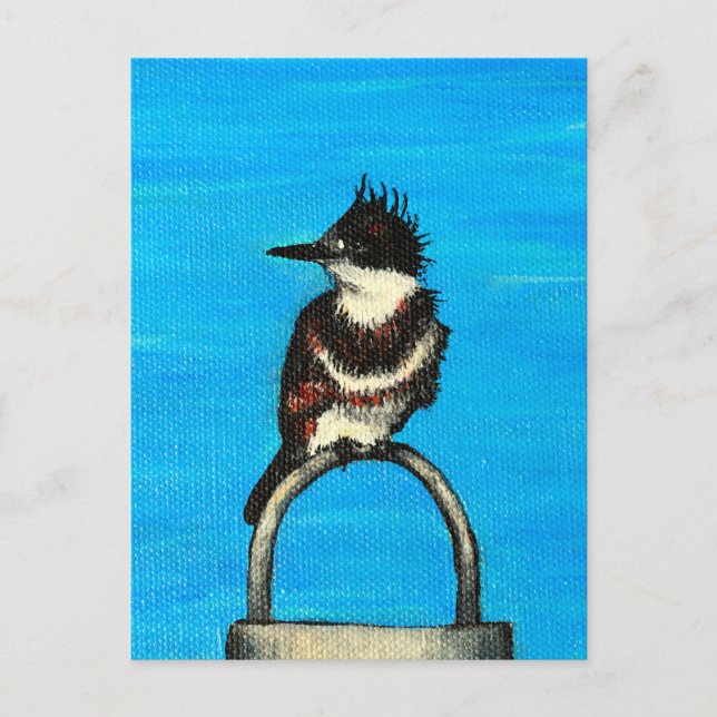 Belted Kingfisher Painting Postcard (Front)