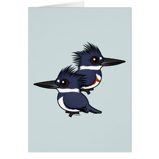 Belted Kingfisher pair Cards (Front)