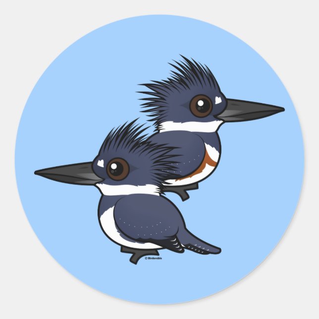 Belted Kingfisher pair Classic Round Sticker (Front)