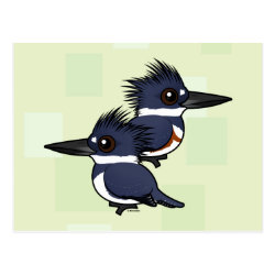 Belted Kingfisher Pair Postcard