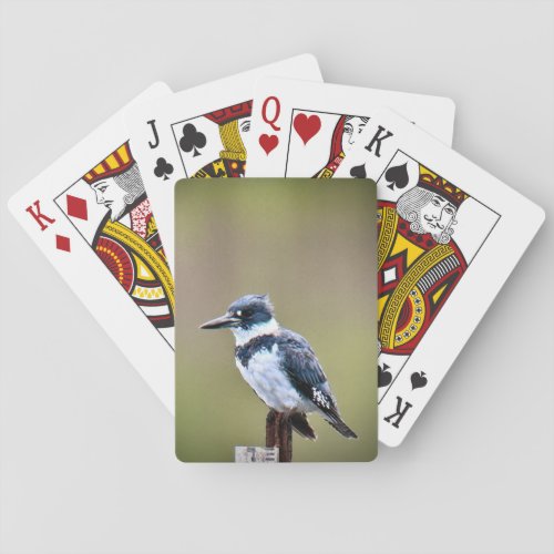 Belted Kingfisher Playing Cards