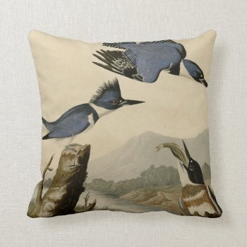 Belted Kingfisher Throw Pillow by birdpictures at Zazzle