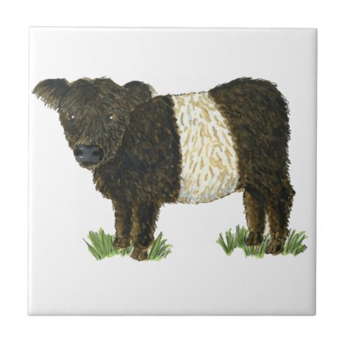 Beltie Belted Galloway Ceramic Tile