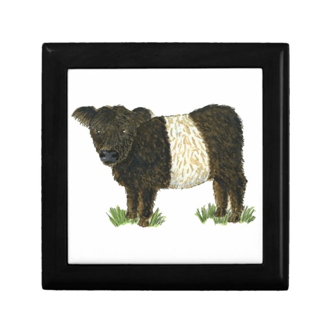 'Beltie' Belted Galloway Gift Box (Front)