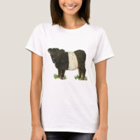 'Beltie' Belted Galloway