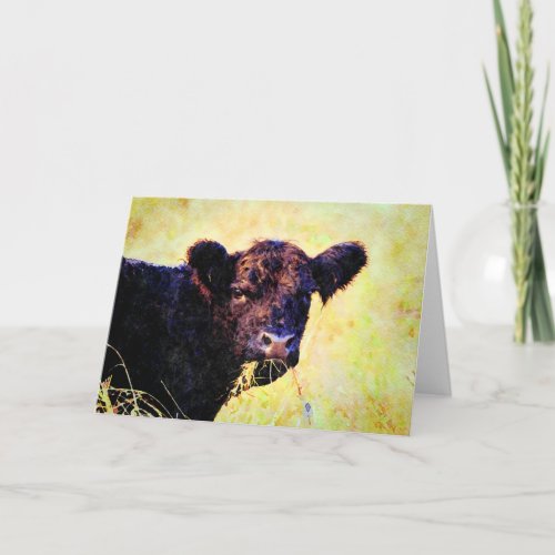 Beltie Cow Watercolor Painting Belted Galloway Art Card