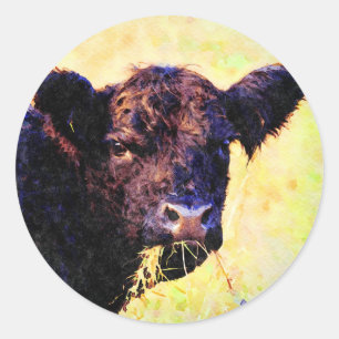 Beltie Cow Watercolor Painting Belted Galloway Art Classic Round Sticker