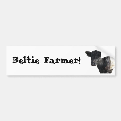 Beltie Farmer Gorgeous Belted Galloway Cow Steer Bumper Sticker