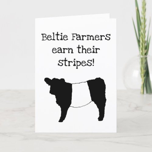 Beltie Farmers Earn their Stripes  Happy Birthday Card