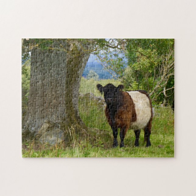 Beltie Puzzle (Horizontal)