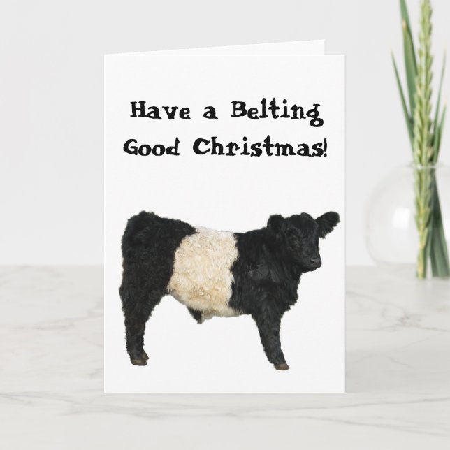 Belting Good Christmas Belted Galloway Beltie Cow Card (Front)