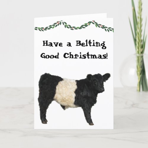 Belting Good Christmas Belted Galloway Beltie Cow Card