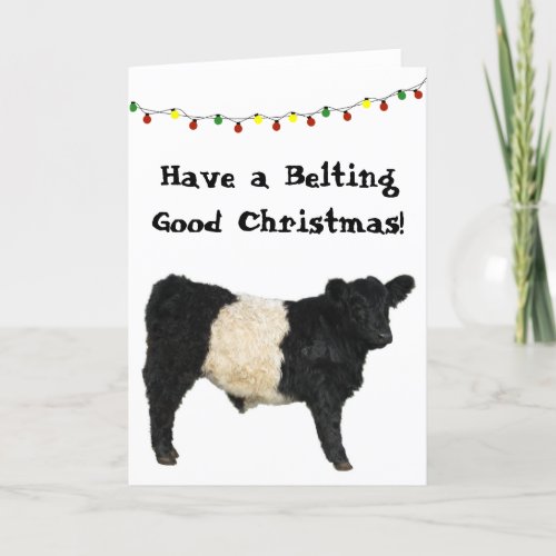 Belting Good Christmas Belted Galloway Beltie Cow Card