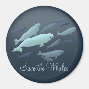 Beluga Fridge Magnet Custom Beluga Whale Magnet