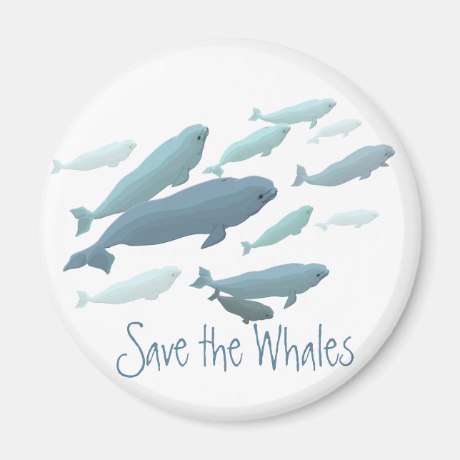 Beluga Fridge Magnet Custom Beluga Whale Magnet (Front)