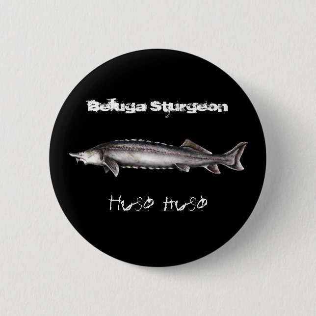 Beluga Sturgeon Button (Front)