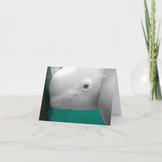 Beluga Watching Note Card