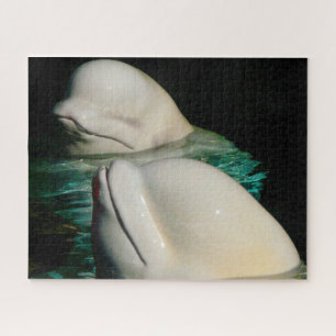 Beluga Whale Alaska Jigsaw Puzzle