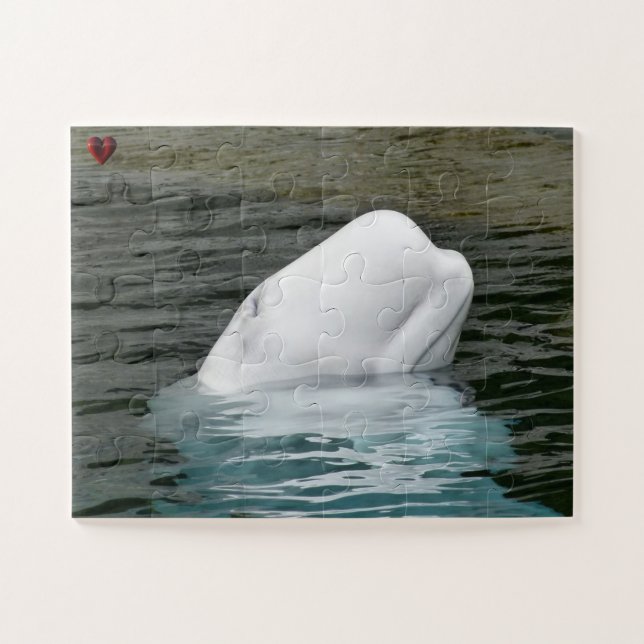 Beluga Whale Alaska Jigsaw Puzzle (Horizontal)