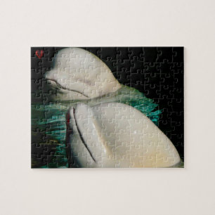 Beluga Whale Alaska Jigsaw Puzzle