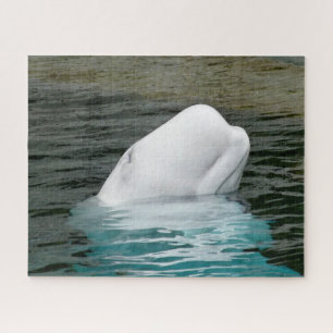 Beluga Whale Alaska Jigsaw Puzzle