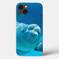 Beluga Whale