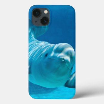 Beluga Whale Iphone 13 Case by wildlifecollection at Zazzle